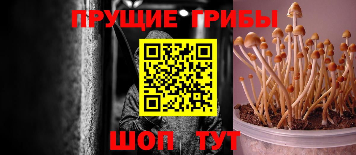 Псилоцибиновые грибы Magic Shrooms Комсомольск-на-Амуре